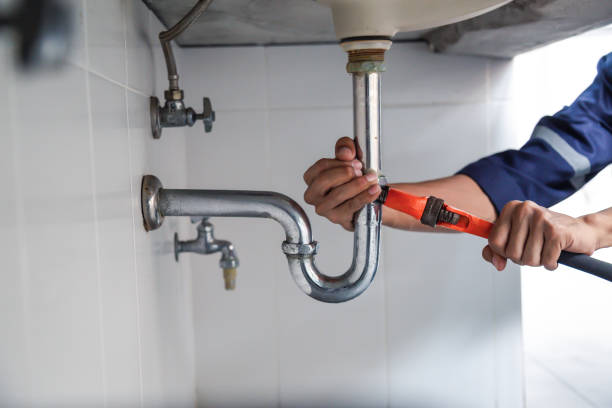 Best Commercial Plumbing Services  in Horse Shoe, NC